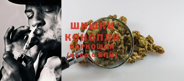 ГАЛЛЮЦИНОГЕННЫЕ ГРИБЫ Богданович