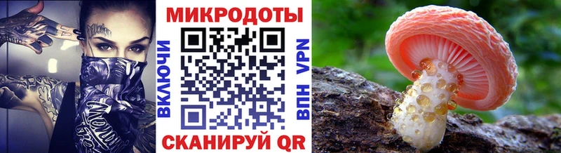 Галлюциногенные грибы Psilocybe  Мегион 