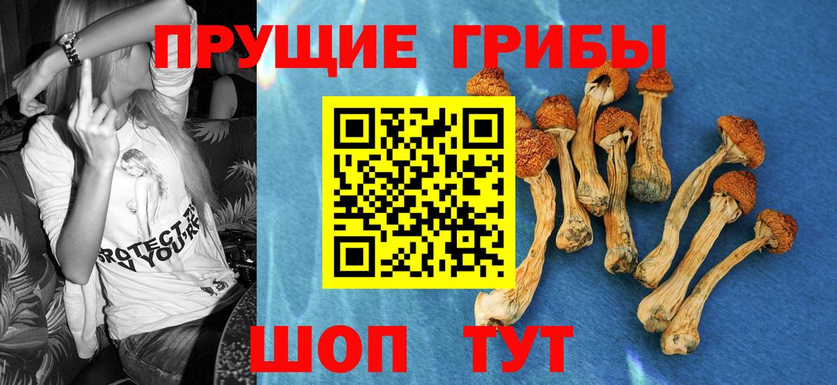 Мегион  Галлюциногенные грибы Psilocybine cubensis  Вход с VPN 