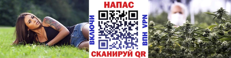 Марихуана MAZAR купить Мегион